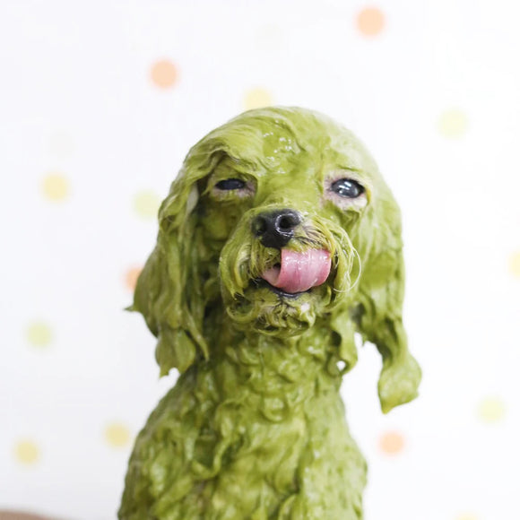 Animal Ayurveda Moisture Health Herb Starter Pack 60g – Natural Herbal Mask, Moisturizing and Skin-Nourishing Formula