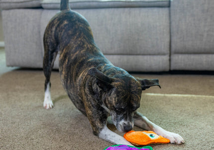 Outward Hound Durablez Fox Squeaky Toy – 16cm Unfilled Orange Plush, Durable Design