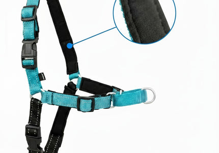 PetSafe Easy Walk Deluxe Harness – Soft Black and Blue Dog Harness with Leash, Medium