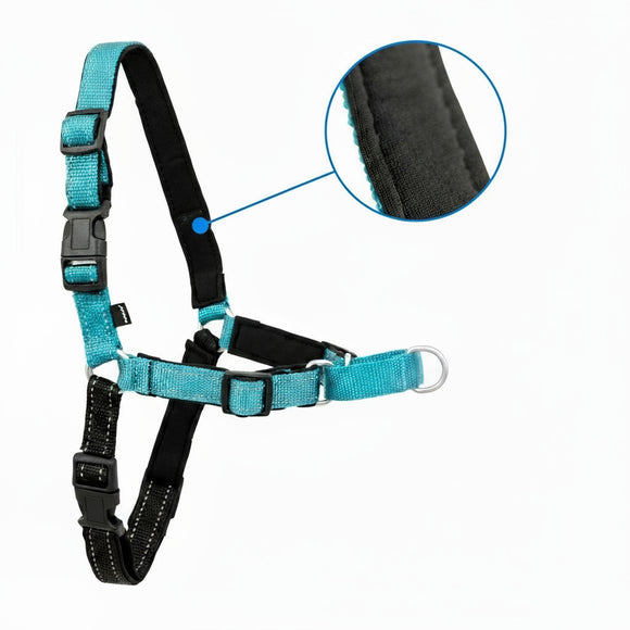 PetSafe Easy Walk Deluxe Harness – Soft Black and Blue Dog Harness with Leash, Medium
