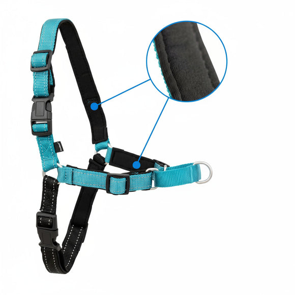 PetSafe Easy Walk Deluxe Harness – Soft Black and Blue Dog Harness with Leash, Medium