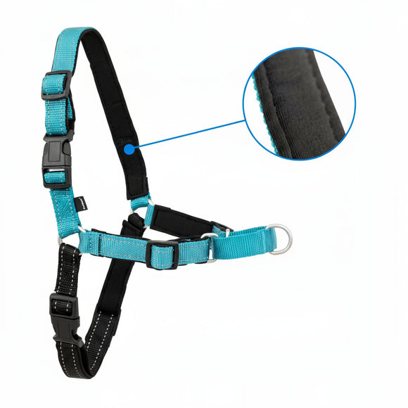 PetSafe Easy Walk Deluxe Harness – Soft Black and Blue Dog Harness with Leash, Medium