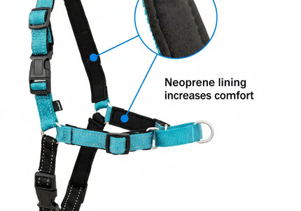PetSafe Easy Walk Deluxe Harness – Soft Black and Blue Dog Harness with Leash, Medium