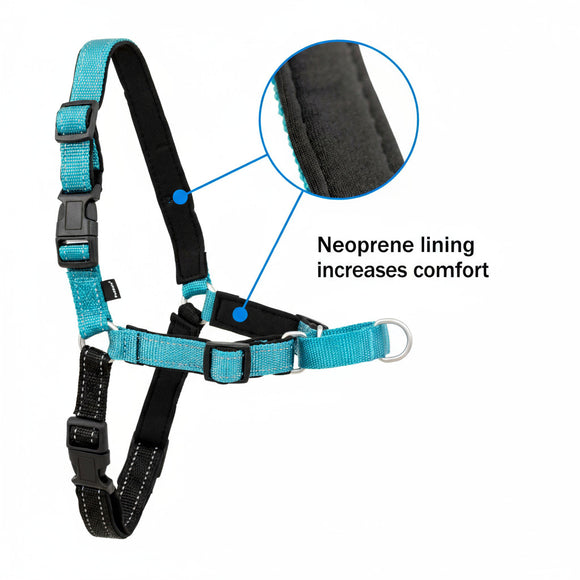 PetSafe Easy Walk Deluxe Harness – Soft Black and Blue Dog Harness with Leash, Medium