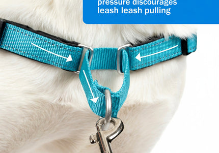 PetSafe Easy Walk Deluxe Harness – Soft Black and Blue Dog Harness with Leash, Medium