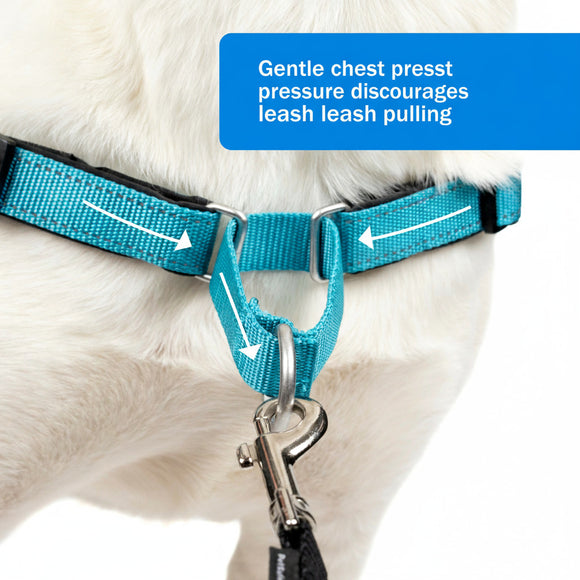 PetSafe Easy Walk Deluxe Harness – Soft Black and Blue Dog Harness with Leash, Medium