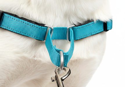 PetSafe Easy Walk Deluxe Harness – Soft Black and Blue Dog Harness with Leash, Medium