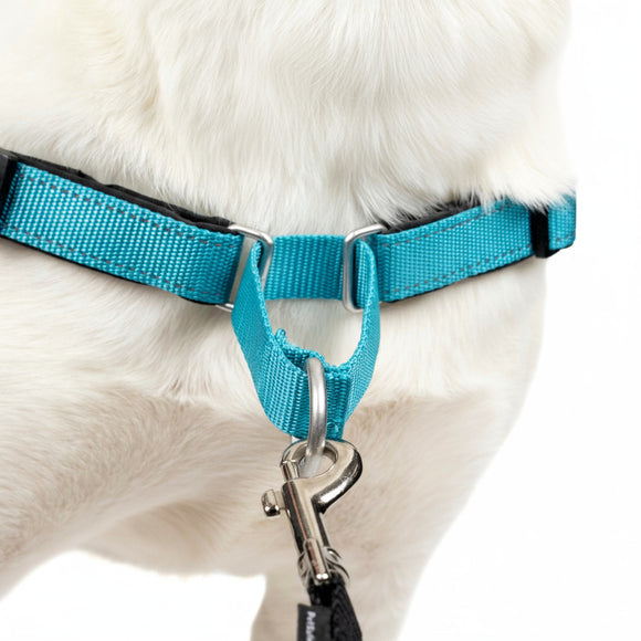 PetSafe Easy Walk Deluxe Harness – Soft Black and Blue Dog Harness with Leash, Medium