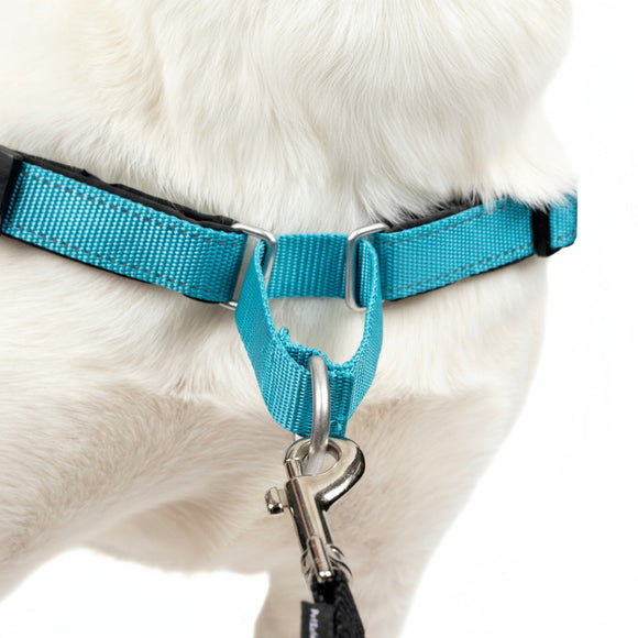 PetSafe Easy Walk Deluxe Harness – Soft Black and Blue Dog Harness with Leash, Medium