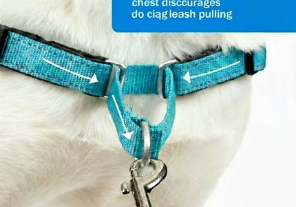 PetSafe Easy Walk Deluxe Harness – Soft Black and Blue Dog Harness with Leash, Medium