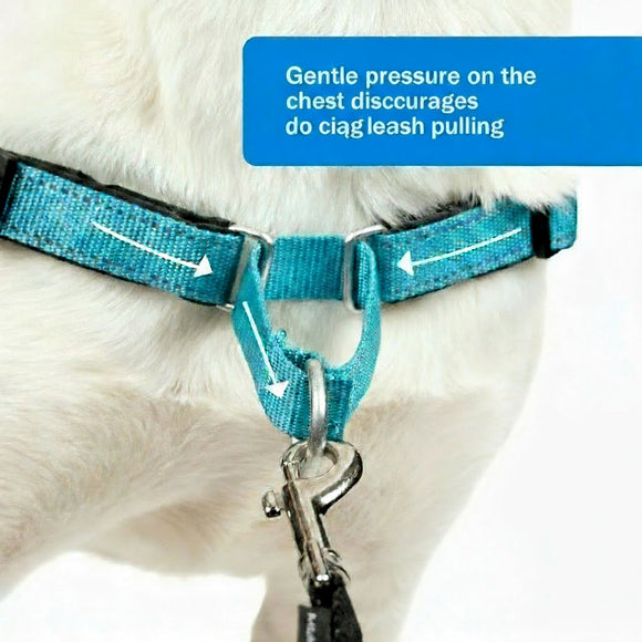 PetSafe Easy Walk Deluxe Harness – Soft Black and Blue Dog Harness with Leash, Medium