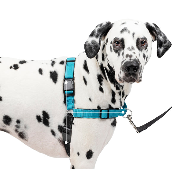 PetSafe Easy Walk Deluxe Harness – Soft Black and Blue Dog Harness with Leash, Medium