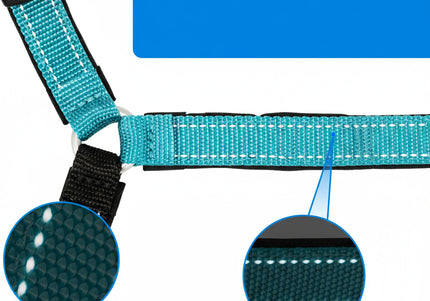 PetSafe Easy Walk Deluxe Harness – Soft Black and Blue Dog Harness with Leash, Medium