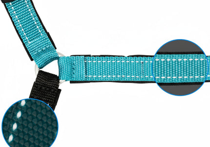 PetSafe Easy Walk Deluxe Harness – Soft Black and Blue Dog Harness with Leash, Medium