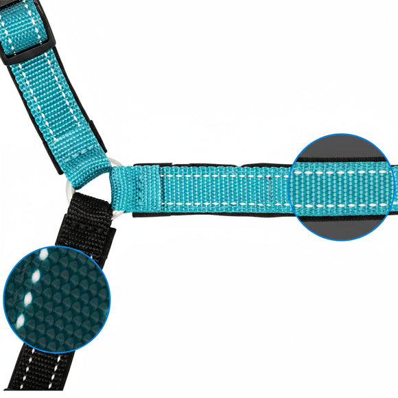 PetSafe Easy Walk Deluxe Harness – Soft Black and Blue Dog Harness with Leash, Medium