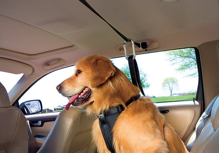 Kurgo Auto Zip Line – Adjustable Car Restraint System with Secure Harness Attachment