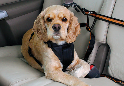 Kurgo Auto Zip Line – Adjustable Car Restraint System with Secure Harness Attachment