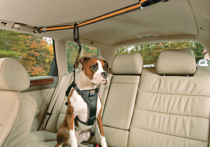 Kurgo Auto Zip Line – Adjustable Car Restraint System with Secure Harness Attachment