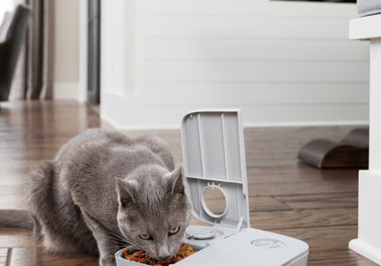 PetSafe Automatic 2 Meal Feeder – Dual-Chamber Timed Food Dispenser, Reliable Portion Control