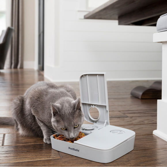 PetSafe Automatic 2 Meal Feeder – Dual-Chamber Timed Food Dispenser, Reliable Portion Control