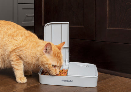 PetSafe Automatic 2 Meal Feeder – Dual-Chamber Timed Food Dispenser, Reliable Portion Control