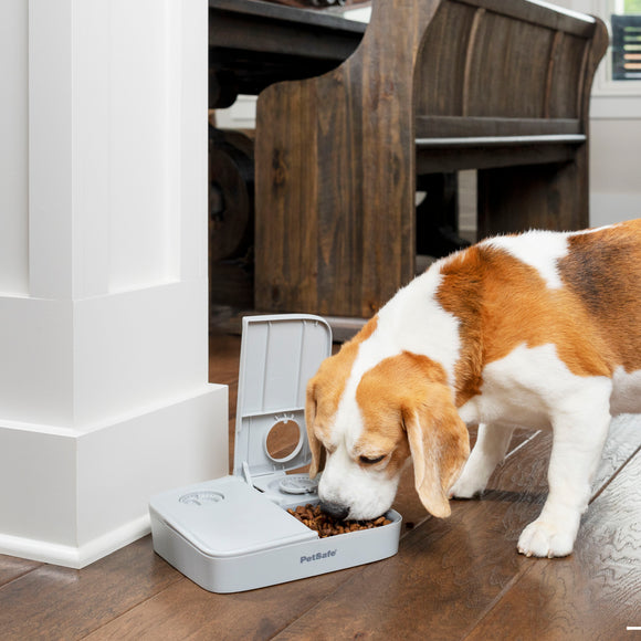 PetSafe Automatic 2 Meal Feeder – Dual-Chamber Timed Food Dispenser, Reliable Portion Control