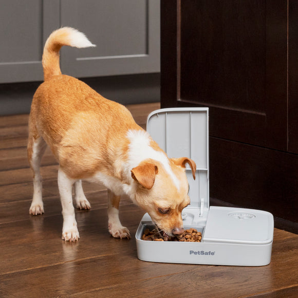 PetSafe Automatic 2 Meal Feeder – Dual-Chamber Timed Food Dispenser, Reliable Portion Control
