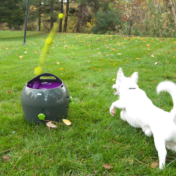 PetSafe Automatic Ball Launcher – Motion Sensor, Interactive Play Device for Pets