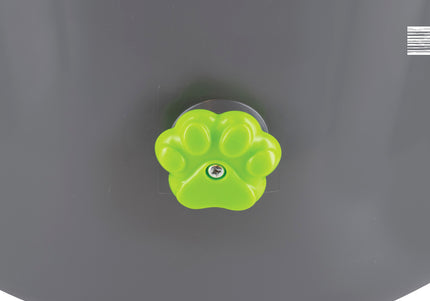 PetSafe Automatic Ball Launcher – Motion Sensor, Interactive Play Device for Pets