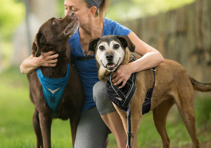 Kurgo Springback Leash 122cm – Shock-Absorbing Running Lead with Flexible Bungee Design