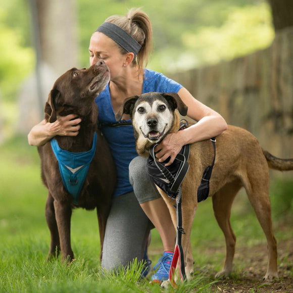 Kurgo Springback Leash 122cm – Shock-Absorbing Running Lead with Flexible Bungee Design