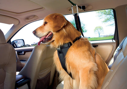 Kurgo Auto Zip Line – Adjustable Car Restraint System with Secure Harness Attachment