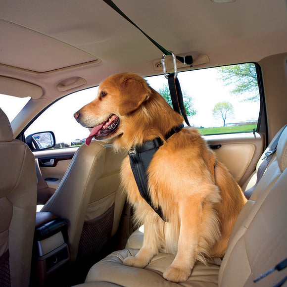 Kurgo Auto Zip Line – Adjustable Car Restraint System with Secure Harness Attachment