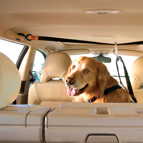 Kurgo Auto Zip Line – Adjustable Car Restraint System with Secure Harness Attachment