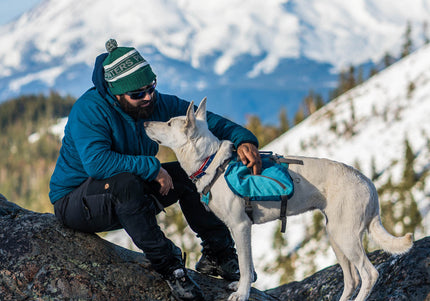 Kurgo Big Baxter Backpack 7.5L Blue – Adjustable Saddlebags, Durable Design for Large Breeds