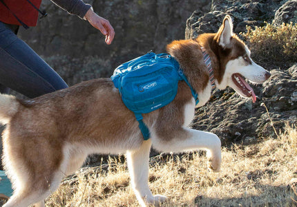 Kurgo RSG Pack Pannier – Blue Adjustable Dog Backpack with Secure Storage Pockets