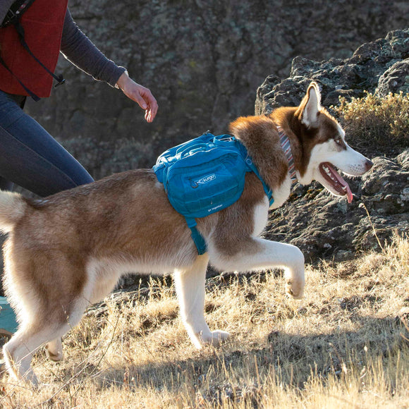 Kurgo RSG Pack Pannier – Blue Adjustable Dog Backpack with Secure Storage Pockets