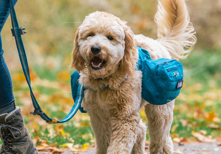 Kurgo RSG Pack Pannier – Blue Adjustable Dog Backpack with Secure Storage Pockets