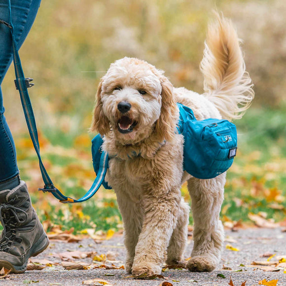 Kurgo RSG Pack Pannier – Blue Adjustable Dog Backpack with Secure Storage Pockets