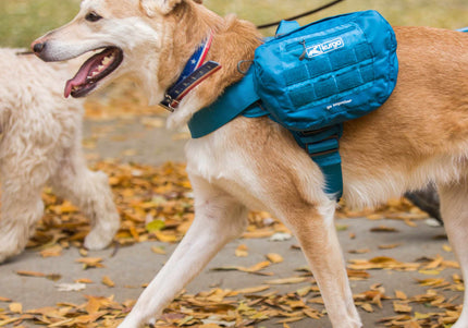 Kurgo RSG Pack Pannier – Blue Adjustable Dog Backpack with Secure Storage Pockets