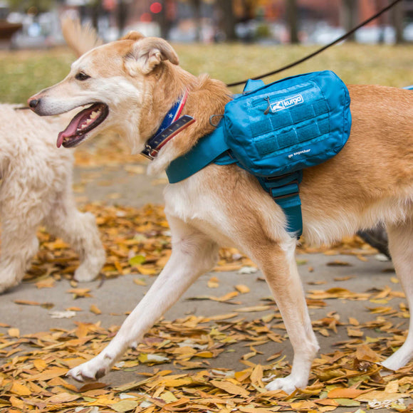 Kurgo RSG Pack Pannier – Blue Adjustable Dog Backpack with Secure Storage Pockets