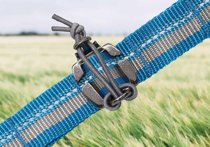 Kurgo RSG Stub Leash – Adjustable Blue Dog Leash, Durable 2.5x144cm Design