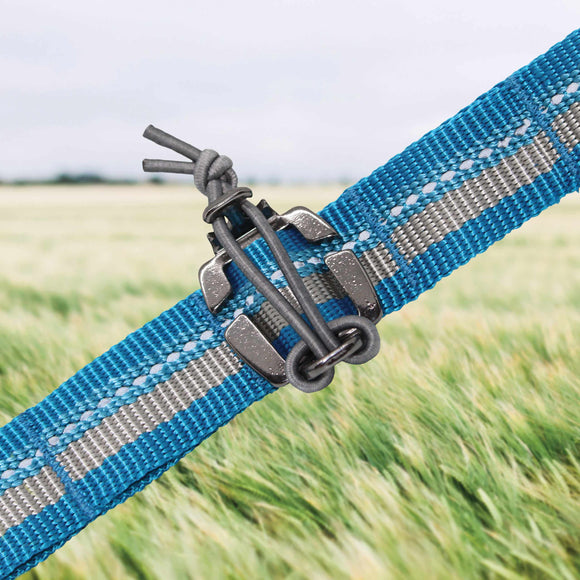 Kurgo RSG Stub Leash – Adjustable Blue Dog Leash, Durable 2.5x144cm Design