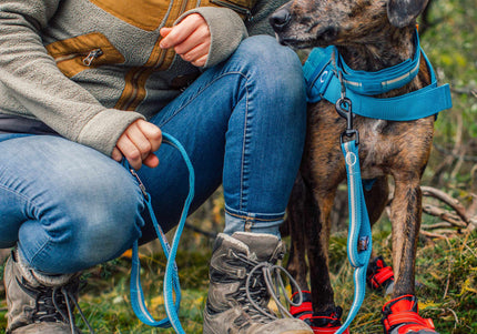 Kurgo RSG Stub Leash – Adjustable Blue Dog Leash, Durable 2.5x144cm Design