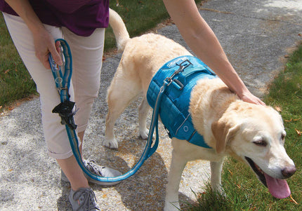 Kurgo RSG Stub Leash – Adjustable Blue Dog Leash, Durable 2.5x144cm Design