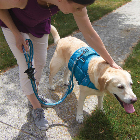 Kurgo RSG Stub Leash – Adjustable Blue Dog Leash, Durable 2.5x144cm Design