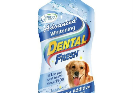 SynergyLabs Dental Fresh Whitening Oral Hygiene Liquid, 503ml – Advanced Stain Removal Formula