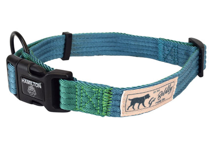 Hamilton Go Boldly Adjustable Collar Size L – Durable Nylon, Brown, Secure Fit for Medium and Large Dogs