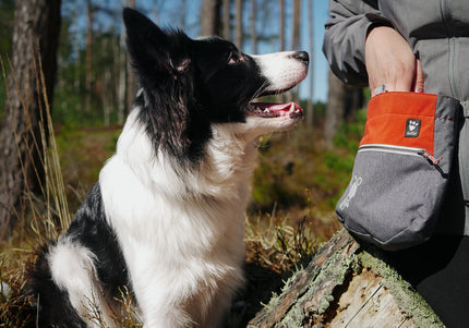 Hurtta Treat Pocket Eco Blackberry Mix – Durable Training Pouch with Secure Closure and Easy Access