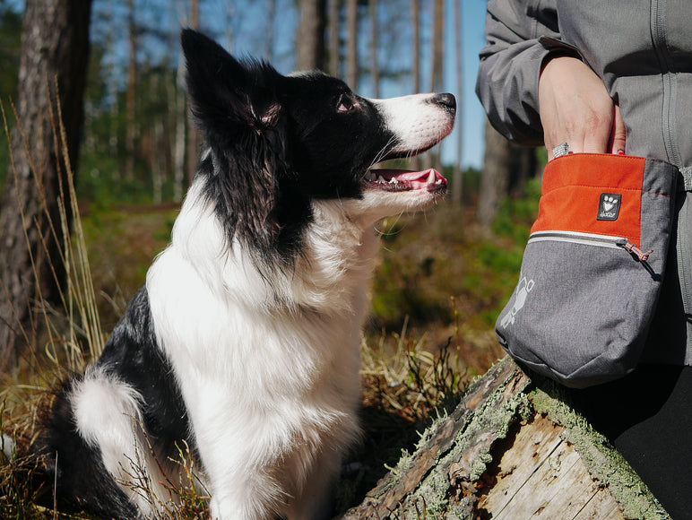 Hurtta Treat Pocket Eco Blackberry Mix – Durable Training Pouch with Secure Closure and Easy Access